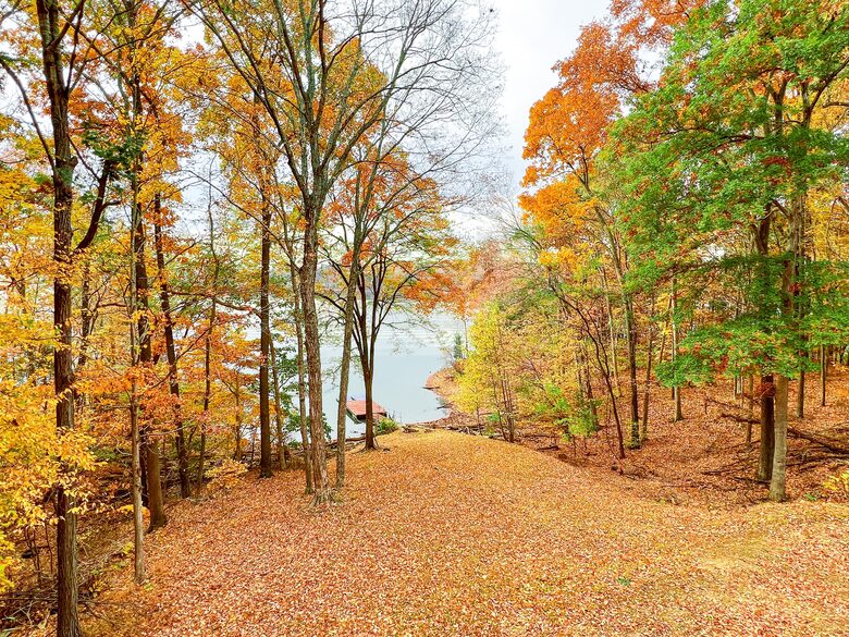 Lakefront Oasis on Lake Barkley; Just 2 Hours from Nashville! - Cadiz, Kentucky