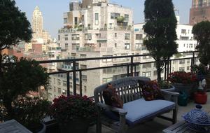 New York City Terraced View - New York City, New York