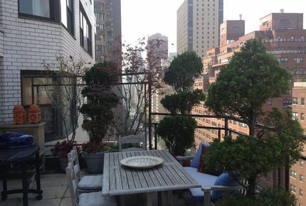 New York City Terraced View - New York City, New York