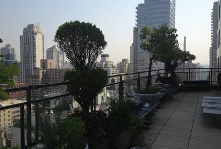 New York City Terraced View - New York City, New York