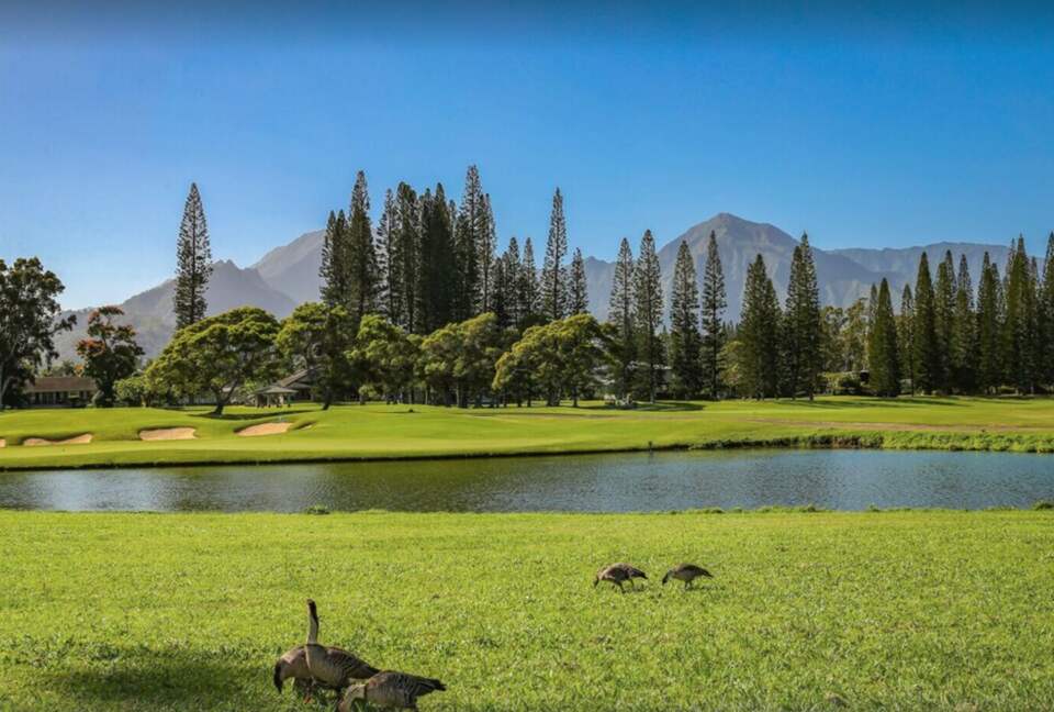 Puu Poa Luxurious Oceanfront Condo - Princeville, Hawaii