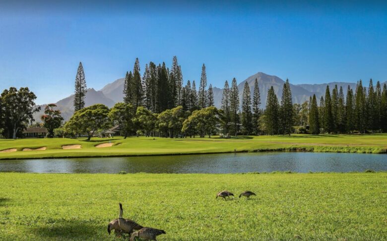 Puu Poa Luxurious Oceanfront Condo - Princeville, Hawaii