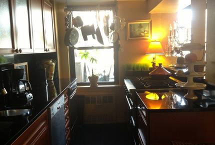 New York City Terraced View - New York City, New York