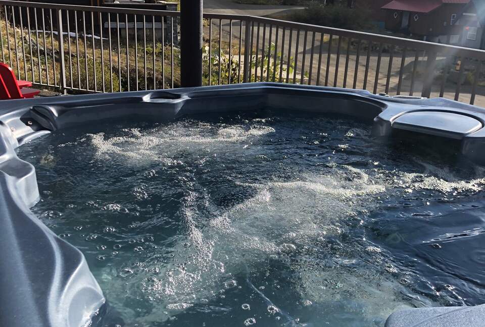 Valhalla Ski-In/Ski-Out Chalet - Comox-Strathcona C, Canada