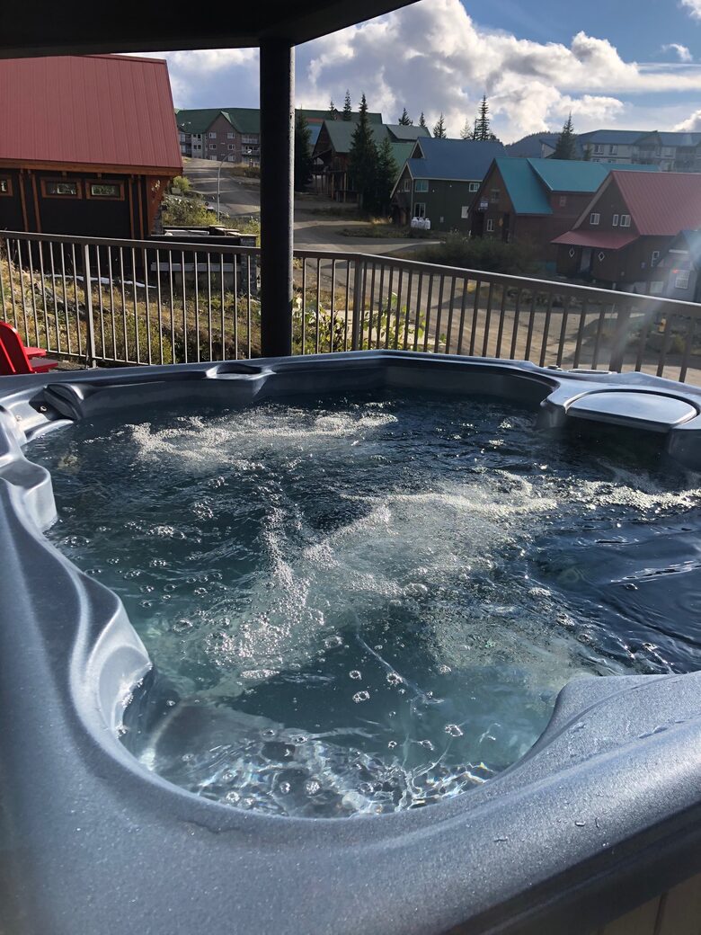 Valhalla Ski-In/Ski-Out Chalet - Comox-Strathcona C, Canada