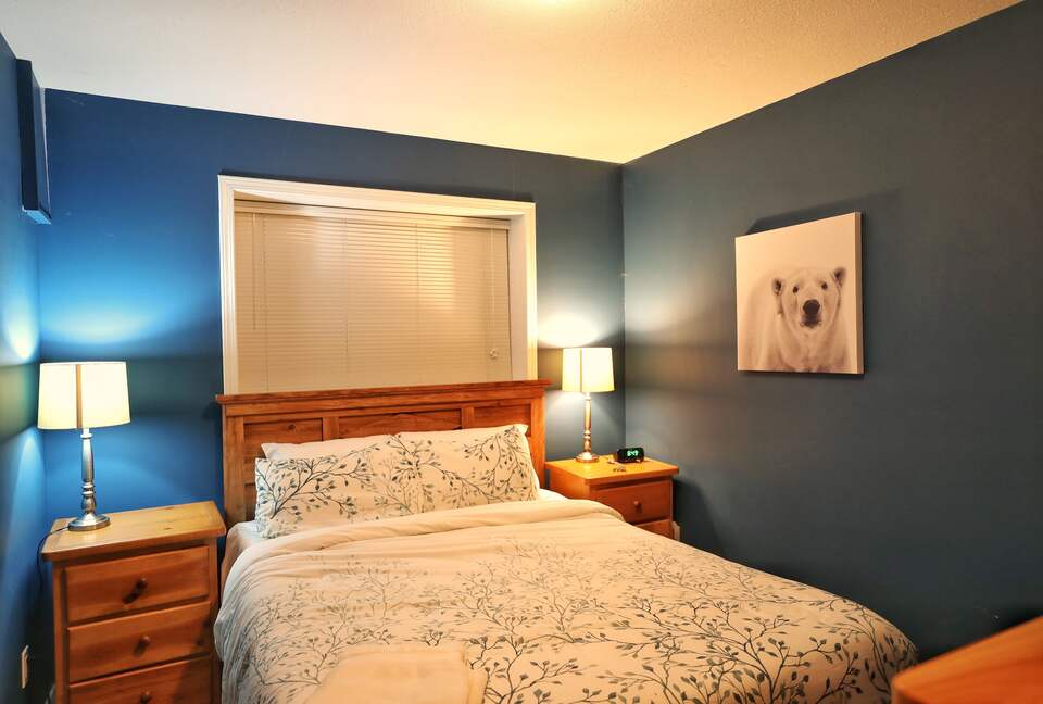 Valhalla Ski-In/Ski-Out Chalet - Comox-Strathcona C, Canada