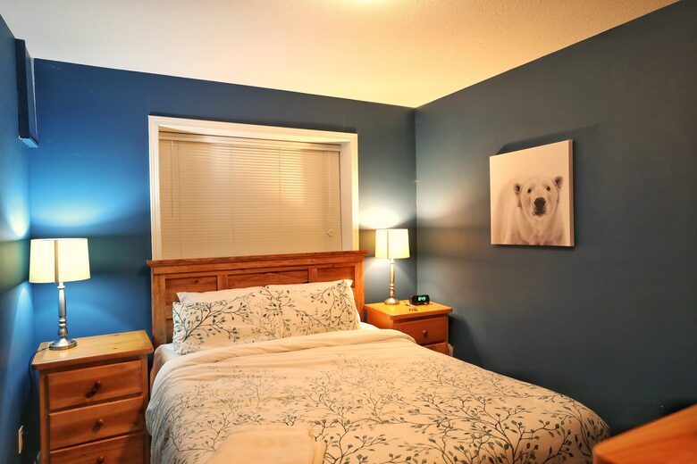 Valhalla Ski-In/Ski-Out Chalet - Comox-Strathcona C, Canada