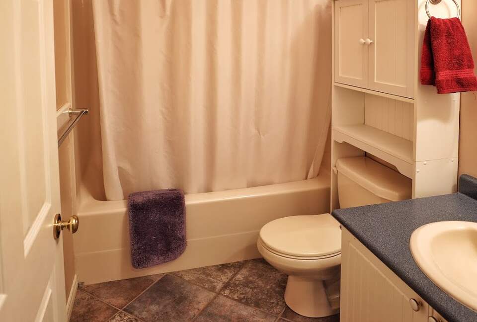 Valhalla Ski-In/Ski-Out Chalet - Comox-Strathcona C, Canada