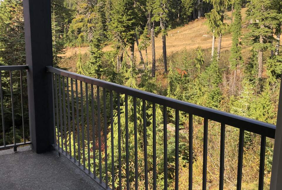 Valhalla Ski-In/Ski-Out Chalet - Comox-Strathcona C, Canada