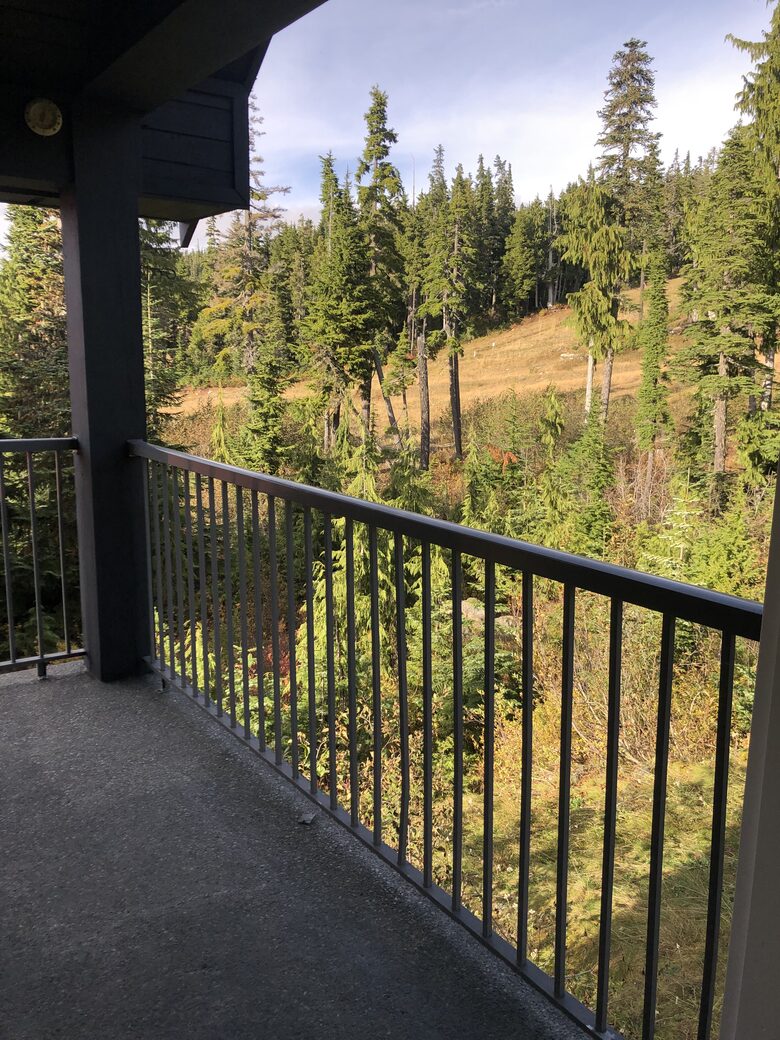 Valhalla Ski-In/Ski-Out Chalet - Comox-Strathcona C, Canada