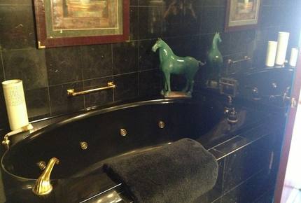 New York City Terraced View - New York City, New York