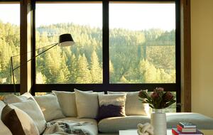 Modern Hilltop Wine-Country Home Surrounded by Forest, close to town