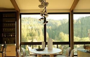 Modern Hilltop Wine-Country Home Surrounded by Forest, close to town