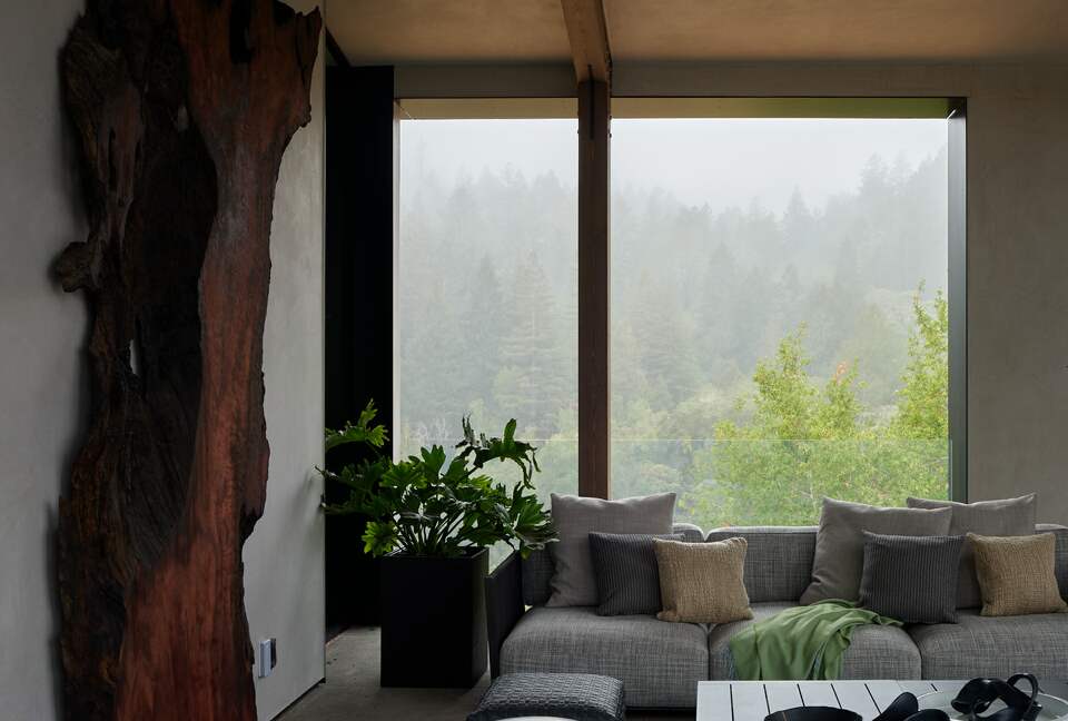 Modern Hilltop Wine-Country Home Surrounded by Forest, close to town - Healdsburg, California