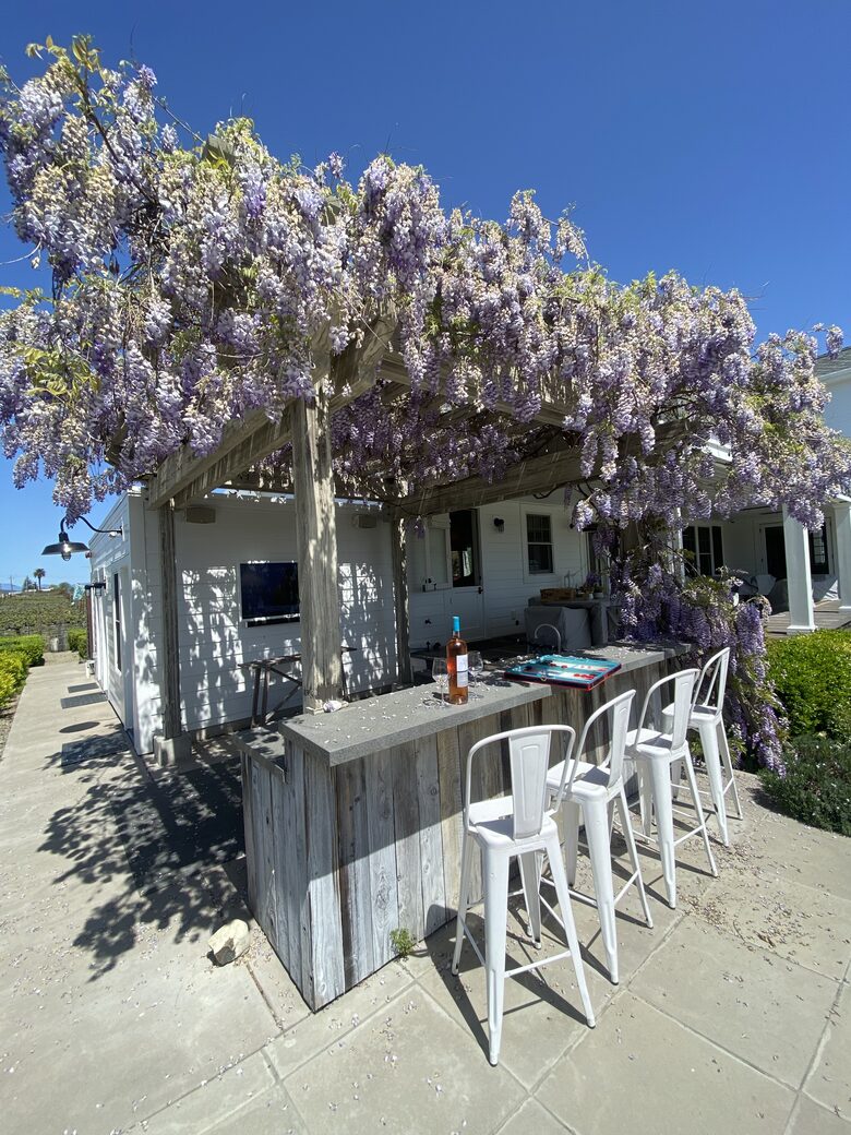 Napa Valley Estate Surrounded by Vineyards - Napa, California
