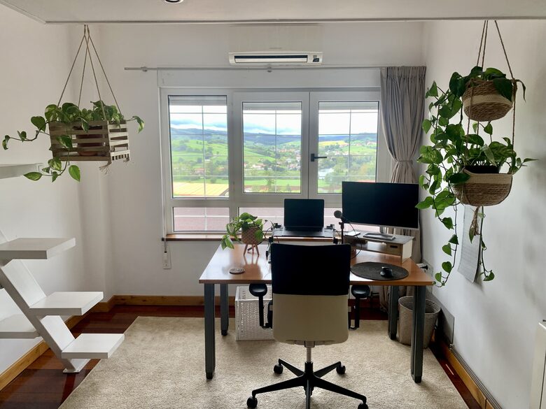 Office Space and Spare Room