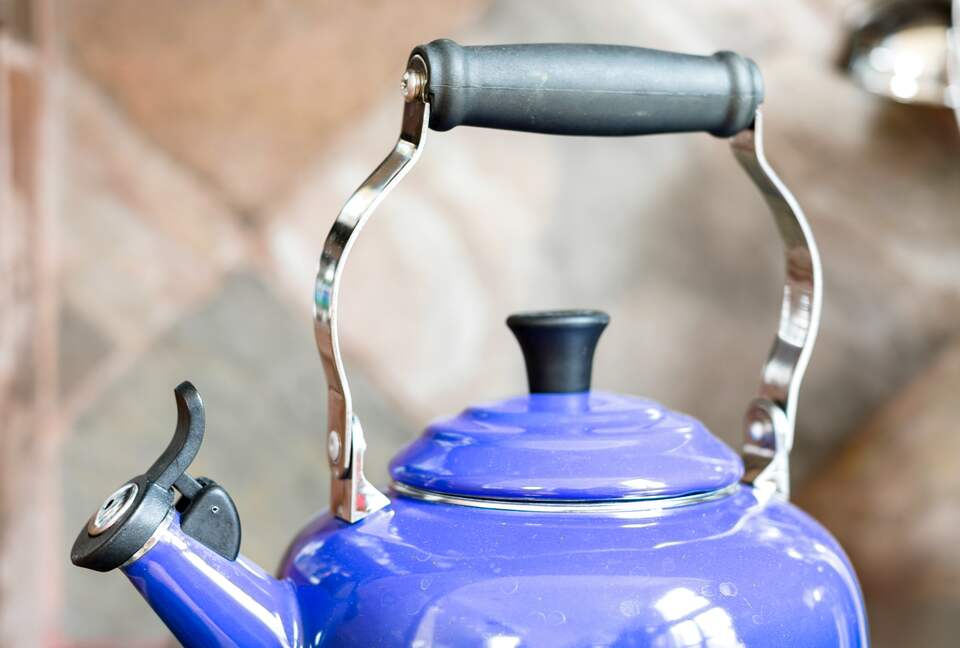 Eastside Aspen Townhouse | Stroll to Slopes - Aspen, Colorado