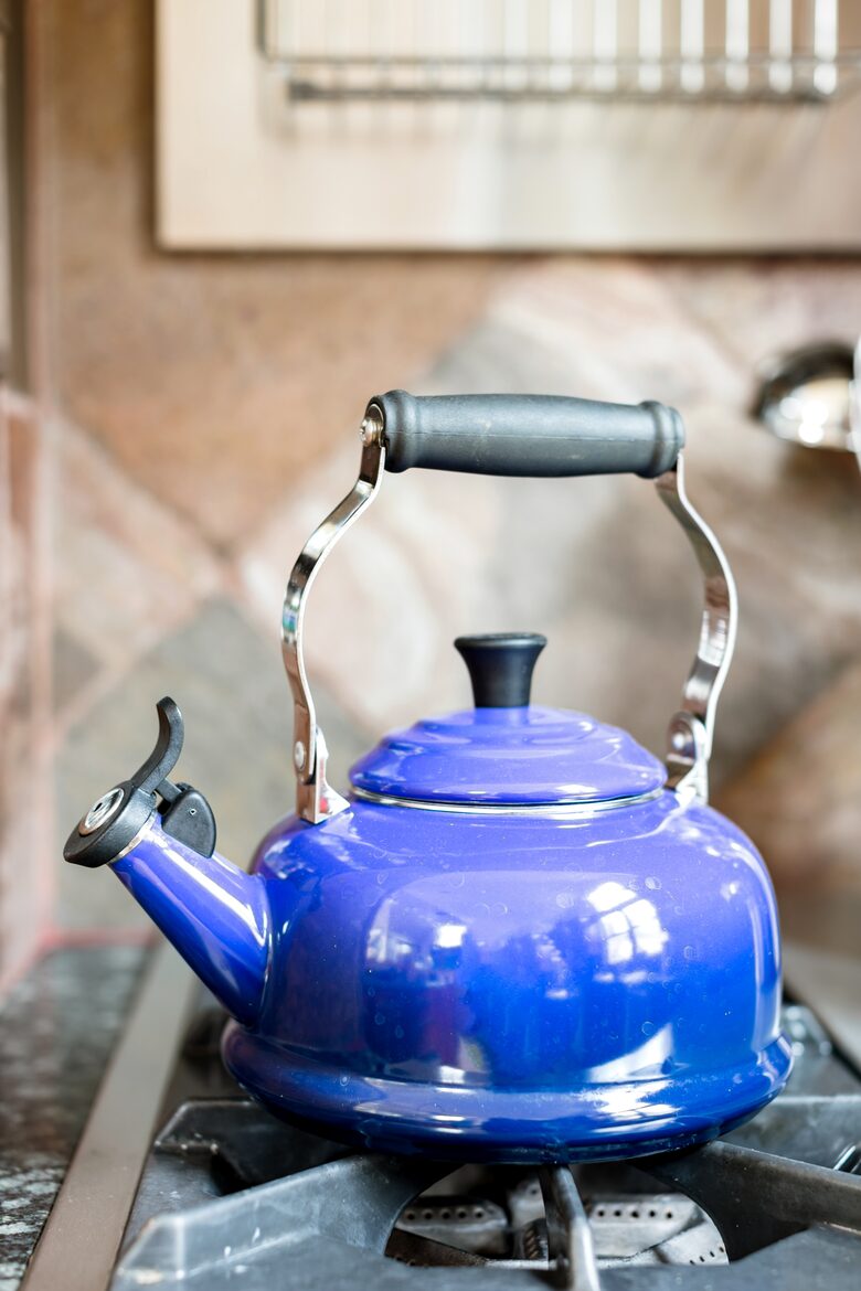 Eastside Aspen Townhouse | Stroll to Slopes - Aspen, Colorado