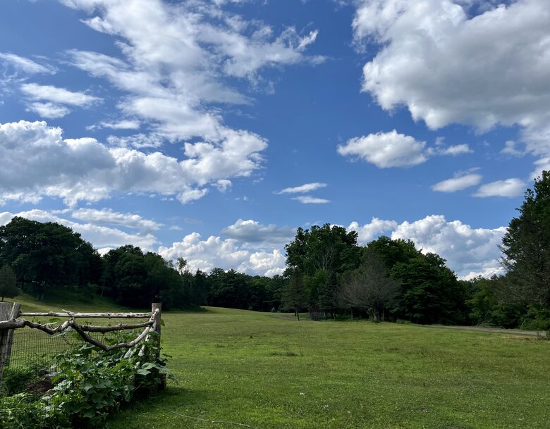 Private Guesthouse at Avalanche Farms | with Stream Access - Saugerties, New York