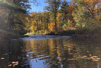 Private Guesthouse at Avalanche Farms | with Stream Access - Saugerties, New York