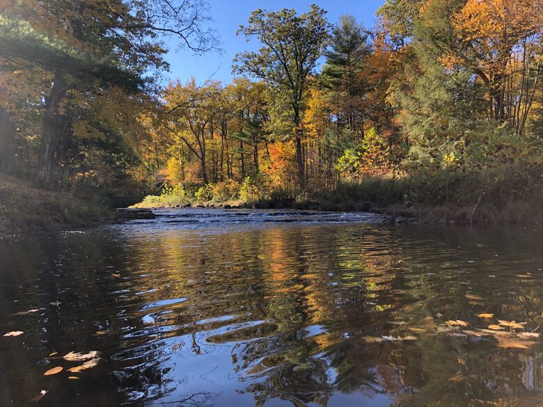 Private Guesthouse at Avalanche Farms | with Stream Access - Saugerties, New York