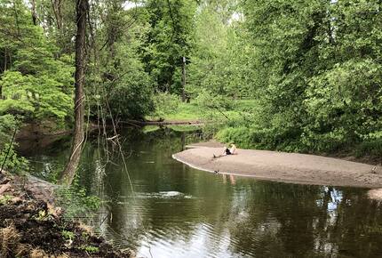 Private Guesthouse at Avalanche Farms | with Stream Access - Saugerties, New York