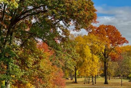 Private Guesthouse at Avalanche Farms | with Stream Access - Saugerties, New York