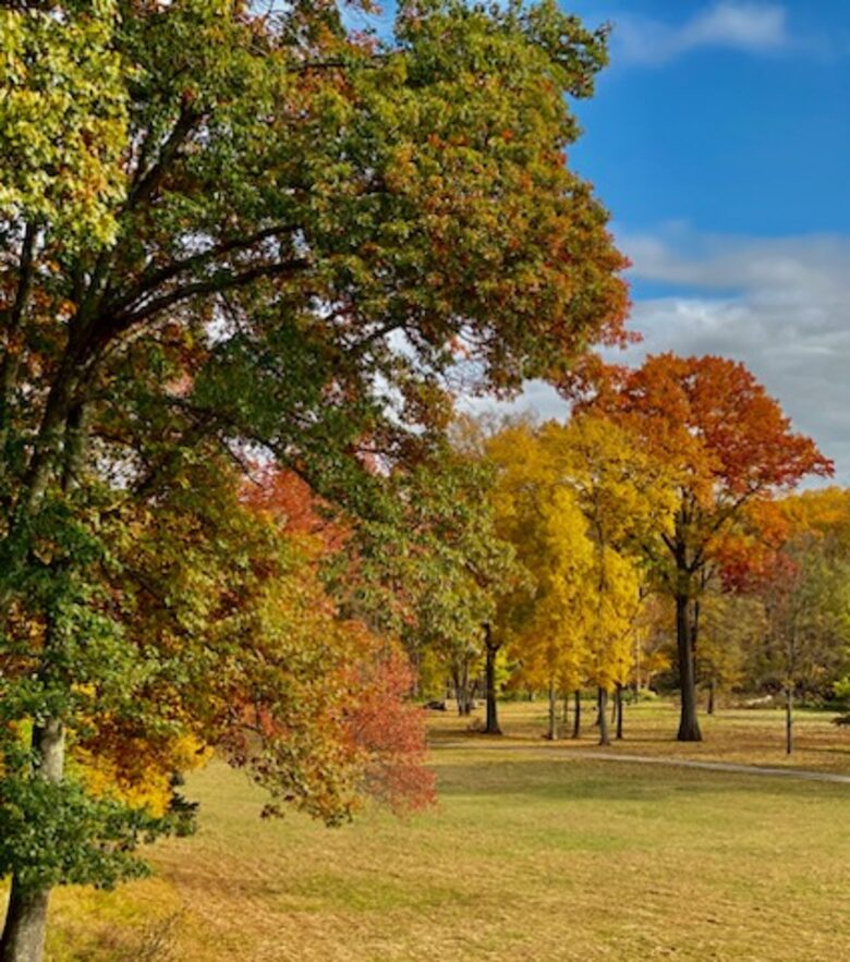 Private Guesthouse at Avalanche Farms | with Stream Access - Saugerties, New York