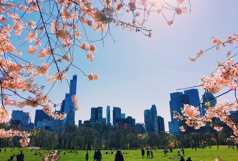 Phillips Club - New York City, New York