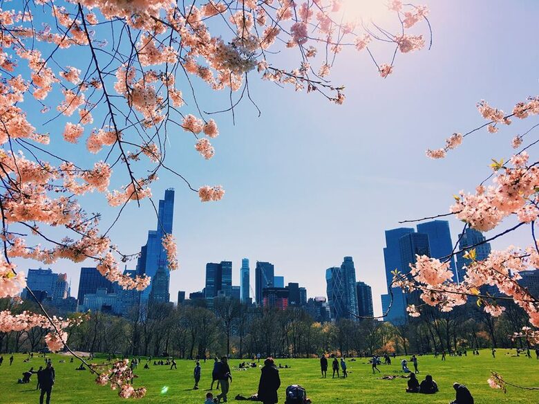 Phillips Club - New York City, New York