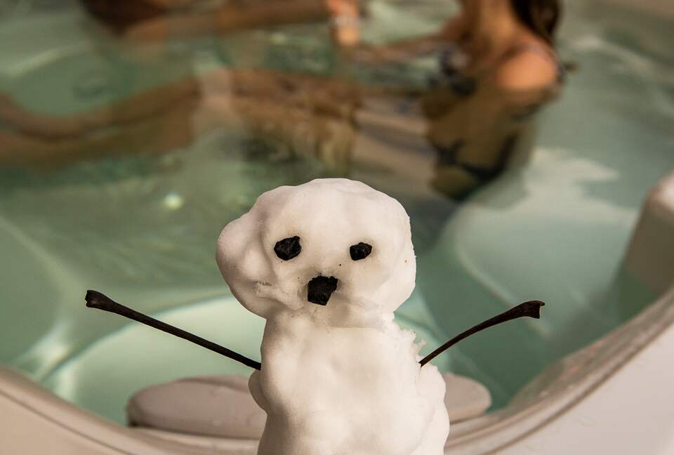 Chalet Tissières - Chamonix, France