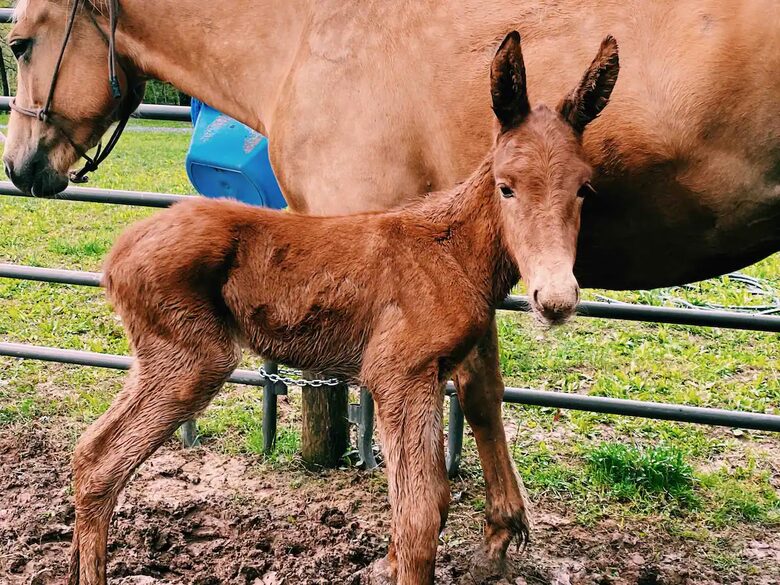 Private Guesthouse at Avalanche Farms | with Stream Access - Saugerties, New York