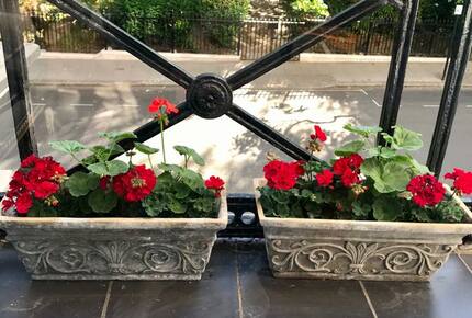 Knightsbridge Pied-à-terre - London, United Kingdom