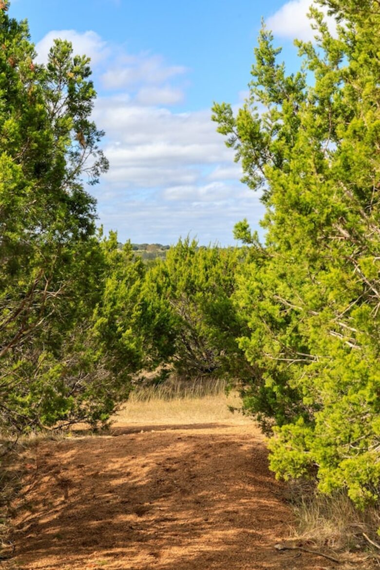12 Acre Designer Farmhouse | TX Hill Country - Stonewall, Texas