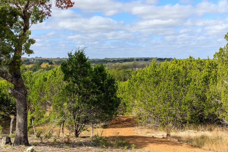 12 Acre Designer Farmhouse | TX Hill Country - Stonewall, Texas