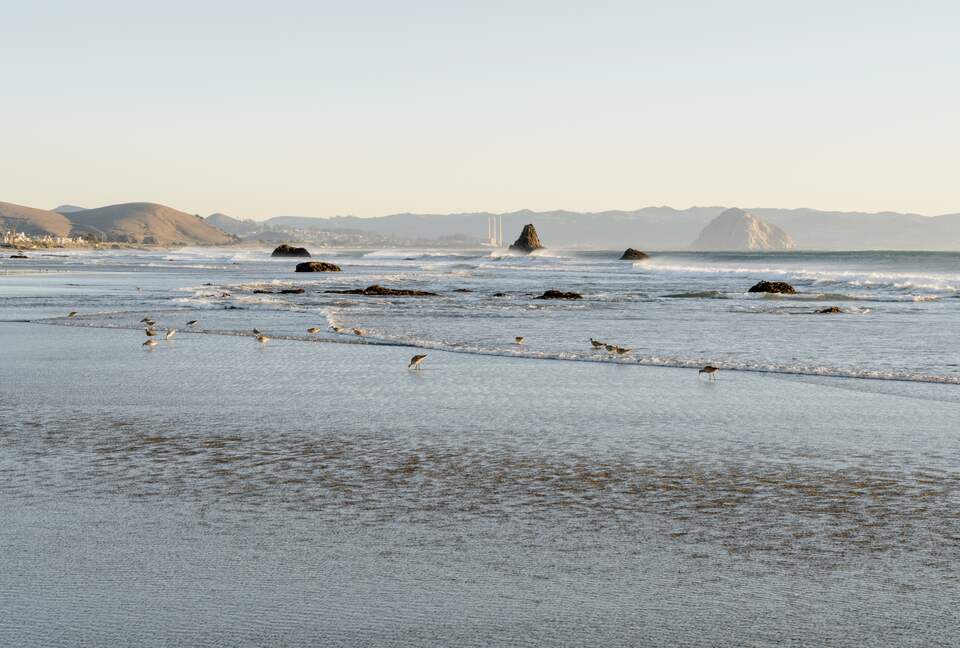 Charming Ocean Front Cottage - Cayucos, California