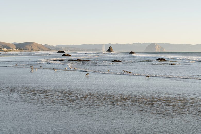 Charming Ocean Front Cottage - Cayucos, California