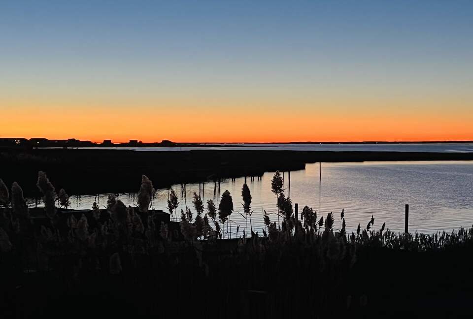 Dune Roe - Westhampton Beach, New York