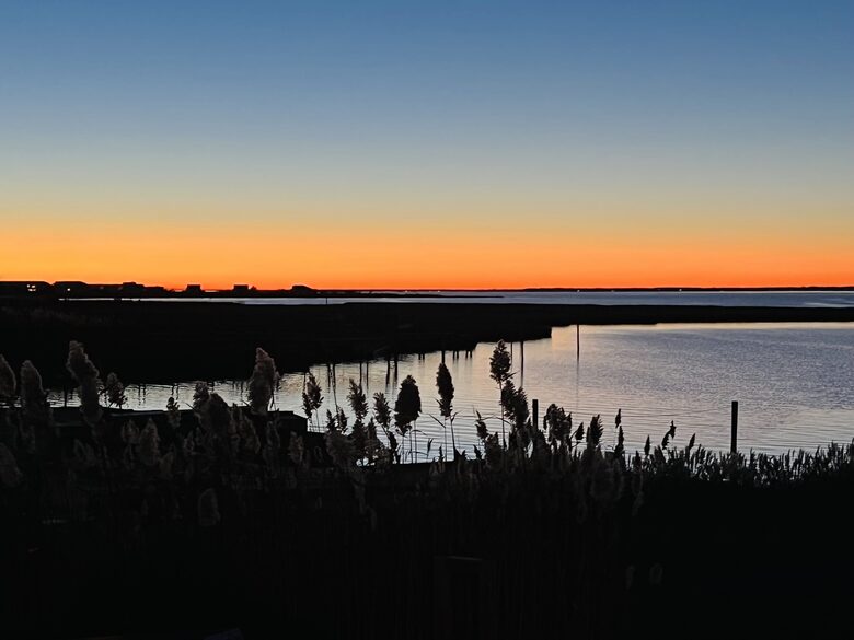 Dune Roe - Westhampton Beach, New York