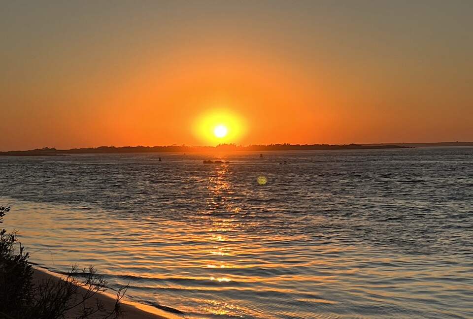 Dune Roe - Westhampton Beach, New York