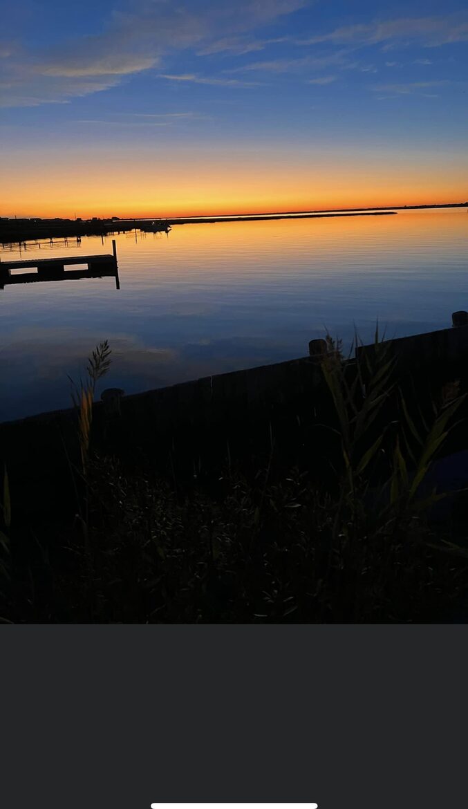 Dune Roe - Westhampton Beach, New York