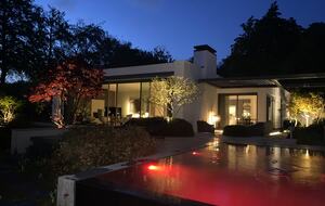 The Orchis - Oostvoorne, Netherlands