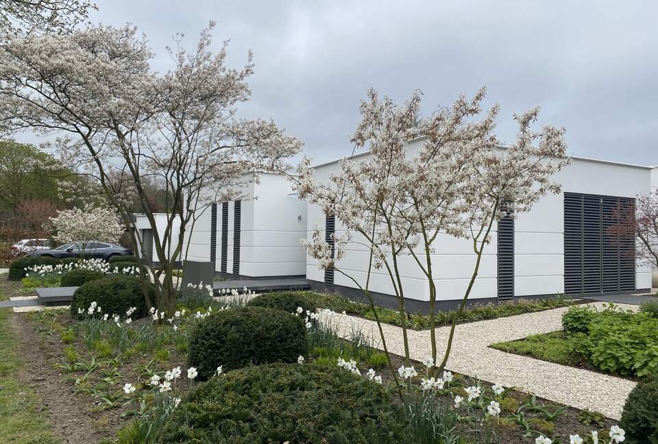 The Orchis - Oostvoorne, Netherlands