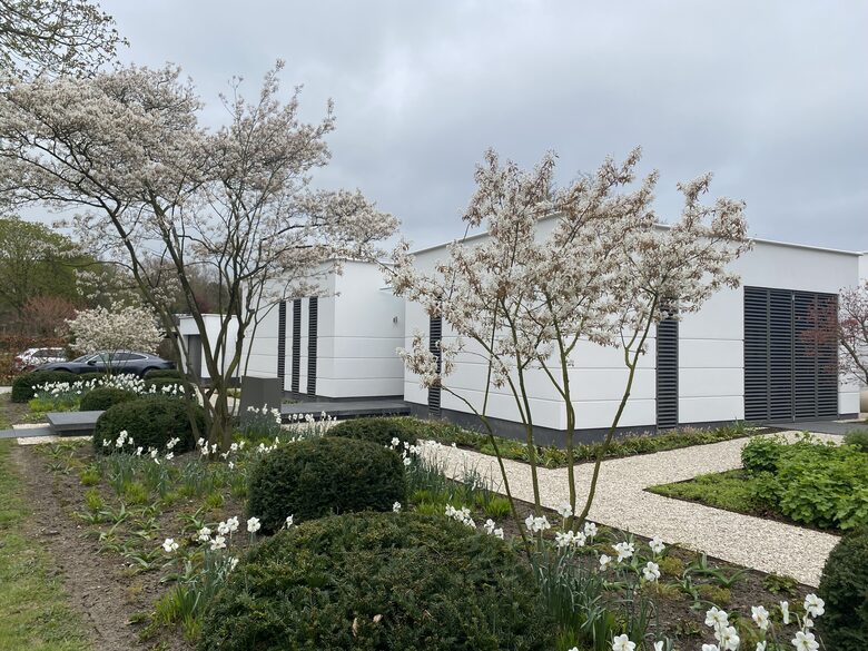 The Orchis - Oostvoorne, Netherlands