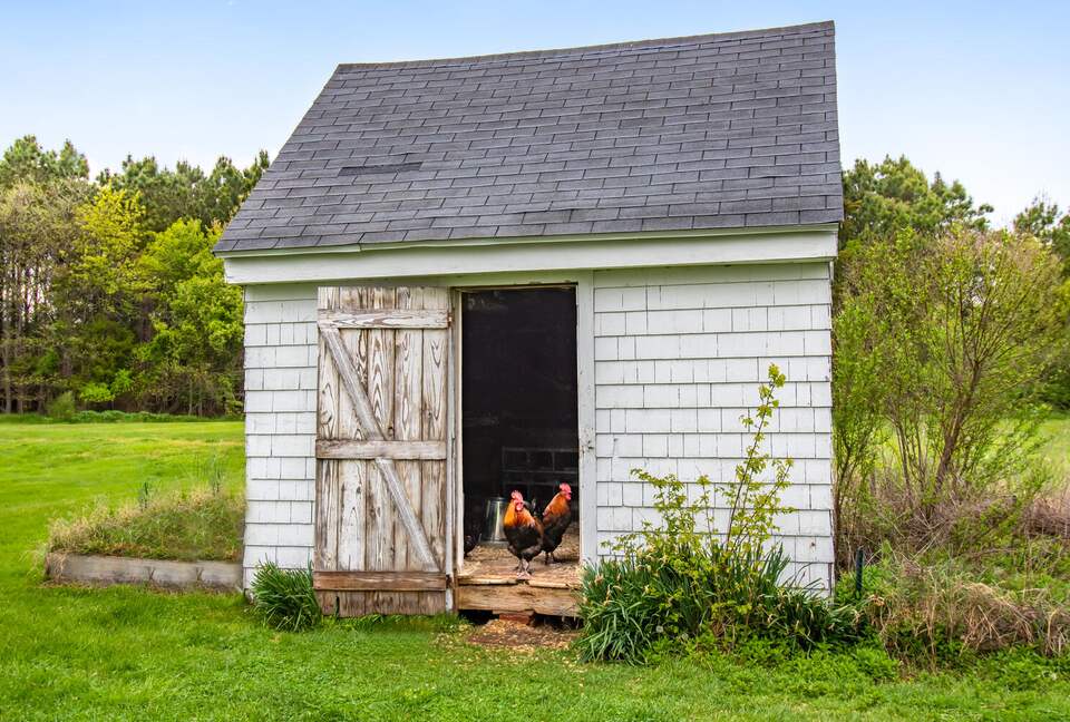 Cedar Cove Retreat | 13 Bedrooms Waterfront Estate with, Pool, Gym, and more - St. Michaels, Maryland