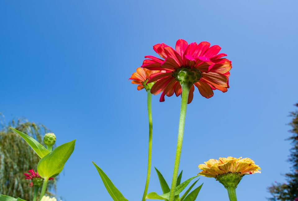 Cedar Cove Retreat | 13 Bedrooms Waterfront Estate with, Pool, Gym, and more - St. Michaels, Maryland