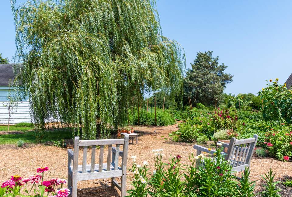 Cedar Cove Retreat | 13 Bedrooms Waterfront Estate with, Pool, Gym, and more - St. Michaels, Maryland