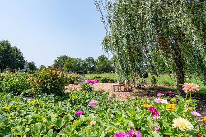 Cedar Cove Retreat | 13 Bedrooms Waterfront Estate with, Pool, Gym, and more - St. Michaels, Maryland