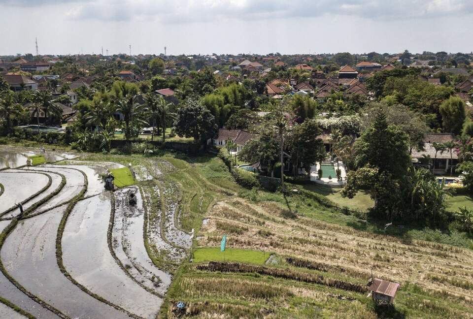 Balinese Rice Field Villa - Berawa Canggu, Indonesia