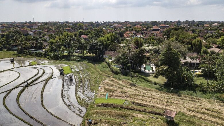 Balinese Rice Field Villa - Berawa Canggu, Indonesia